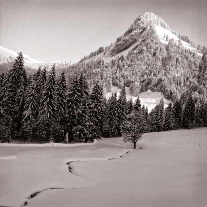 Schönenbach, Vorarlberg, Österreich