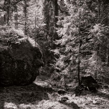 Schönenbach, Vorarlberg, Österreich