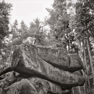 Blockheide, Waldviertel, Österreich