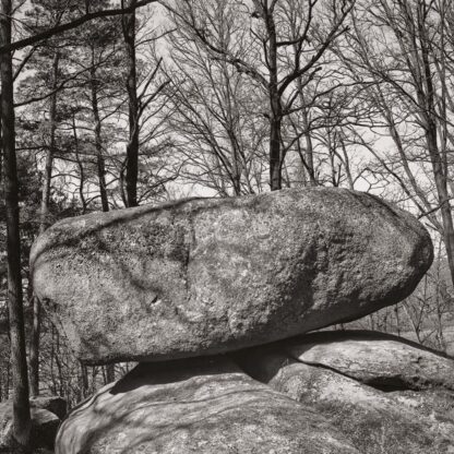 Blockheide, Waldviertel, Österreich