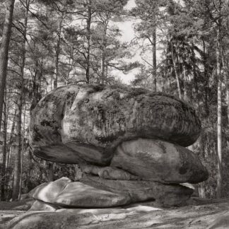 Blockheide, Waldviertel, Österreich