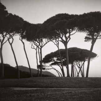 Baratti, Italien