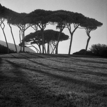 Baratti, Italien