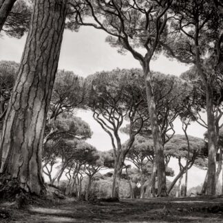 Baratti, Italien