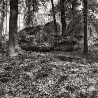 Blockheide, Waldviertel, Österreich