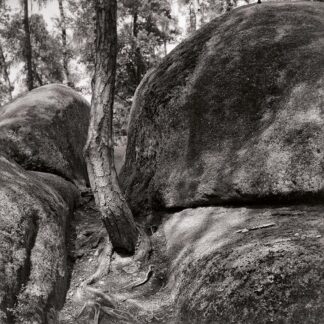 Blockheide, Waldviertel, Österreich