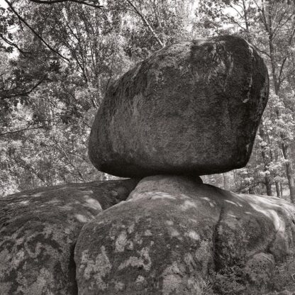 Blockheide, Waldviertel, Österreich