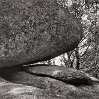 Blockheide, Waldviertel, Österreich