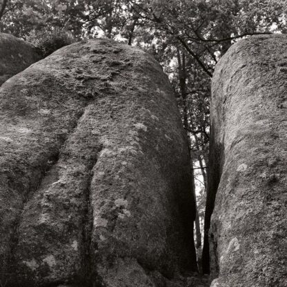 Blockheide, Waldviertel, Österreich