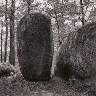 Blockheide, Waldviertel, Österreich