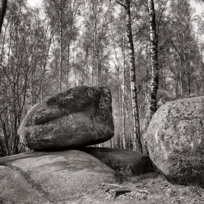 Blockheide, Waldviertel, Österreich