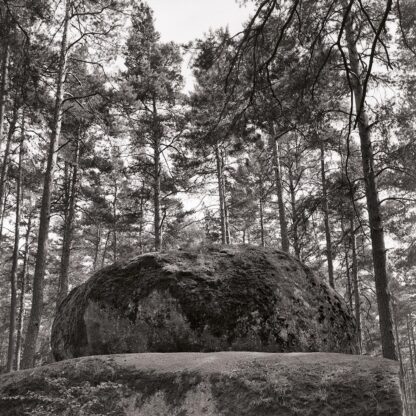 Blockheide, Waldviertel, Österreich