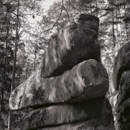 Blockheide, Waldviertel, Österreich