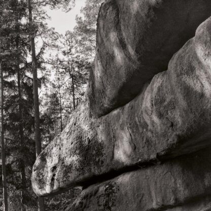 Blockheide, Waldviertel, Österreich