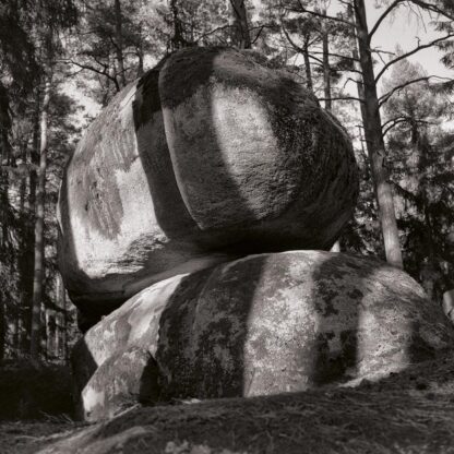 Blockheide, Waldviertel, Österreich