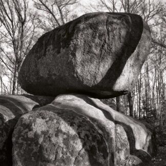 Blockheide, Waldviertel, Österreich