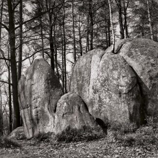 Blockheide, Waldviertel, Österreich