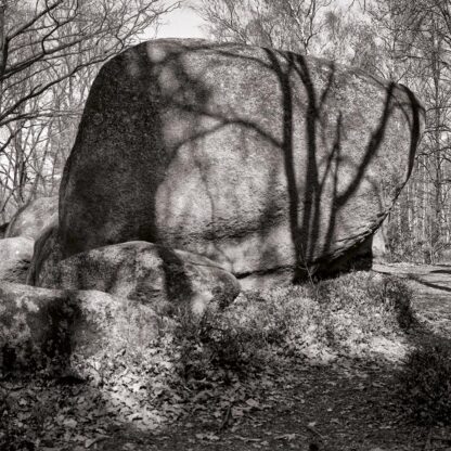 Blockheide, Waldviertel, Österreich