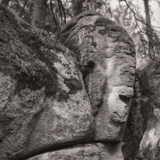 Blockheide, Waldviertel, Österreich