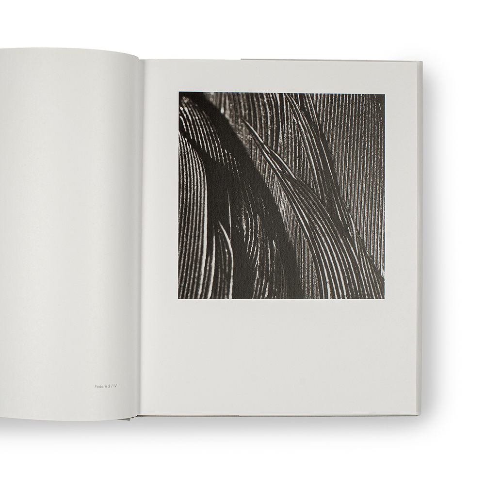 So gesehen – Herbert Rauch – Bild 6