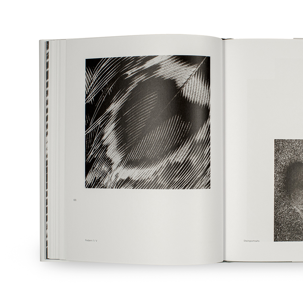 So gesehen – Herbert Rauch – Bild 8